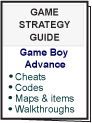Nintendo Game Boy Advance Strategy Guides
